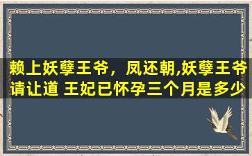 赖上妖孽王爷，凤还朝,妖孽王爷请让道 王妃已怀孕三个月是多少章